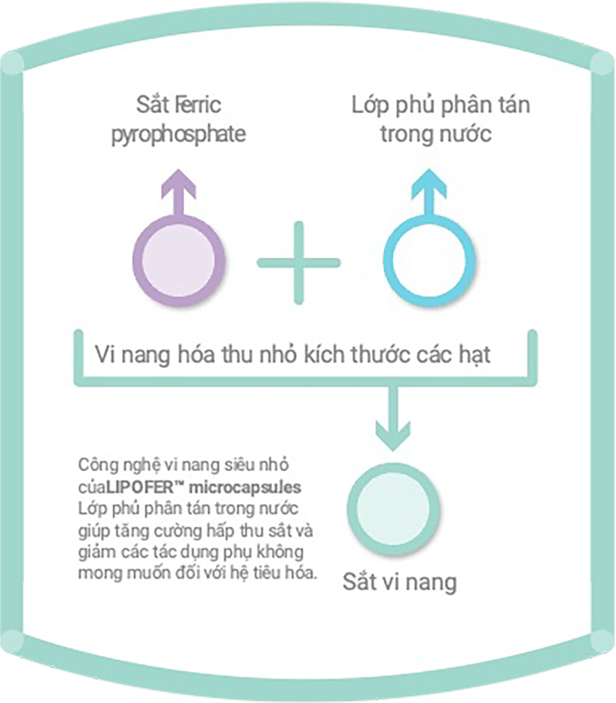 Công nghệ Micronisation