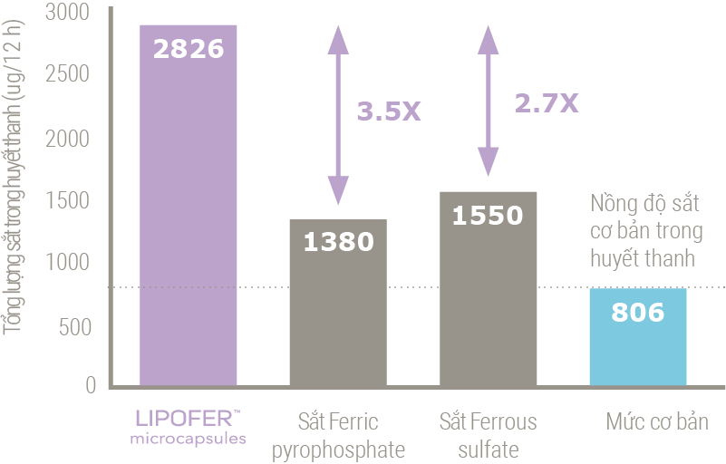 Sắt Sifer Huy Anh Pharma | so do lipofer 2